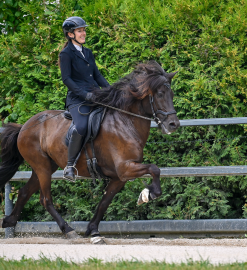 ISI Masters Schurrenhof 2026